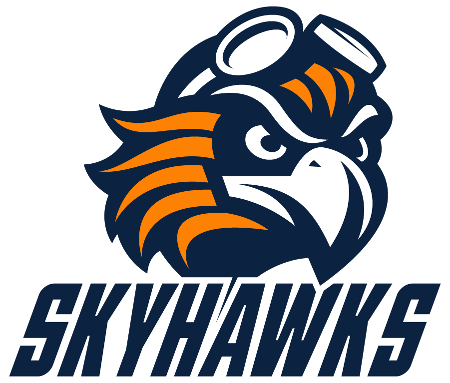 Tennessee-Martin Skyhawks 2020-Pres Alternate Logo v4 diy DTF decal sticker